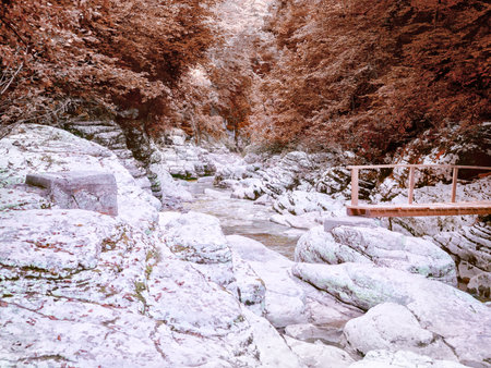 A terrain of smooth rounded rocks with a river flowing between them and trees growing on top. Photo in sepia shadesの写真素材