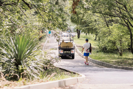 A walking electric car rides along the park alley past strolling tourists on a summer dayの写真素材