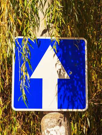 A road sign with a white arrow in a blue square is located on a pole in a willow thicket illuminated by the bright sun. Direction indicator.の写真素材