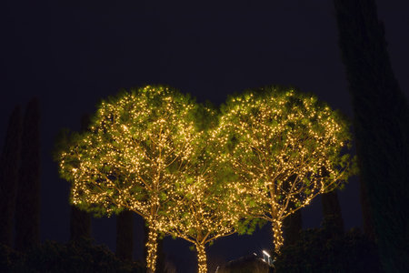 Three bright green coniferous trees, decorated with glowing garlands, form the shape of a heart...