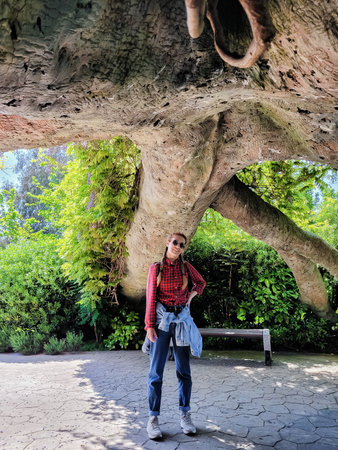 A smiling woman with pigtails stands in the shade under a huge tree in a spring park. Southern spring travel. Green Park.の写真素材
