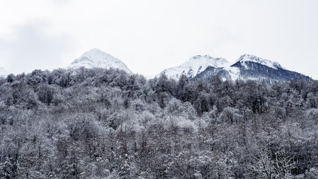 Snowy mountain peaks in a winter forest against a cloudy sky. Snow-covered wooded mountains of ski resort. Winter mountains in cloudy weatherの写真素材