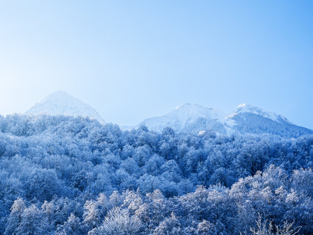 Snow-covered trees against the backdrop of winter mountain peaks on a sunny day. Forest at the ski resortの写真素材