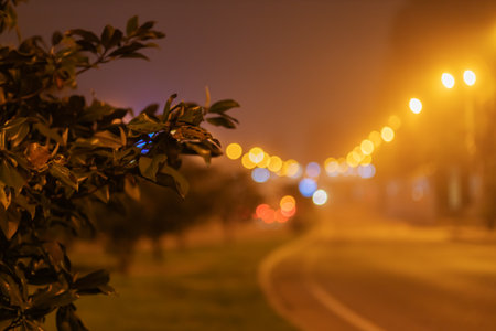 Foggy night cityscape. A bush along a night highway. Blurred image.の写真素材