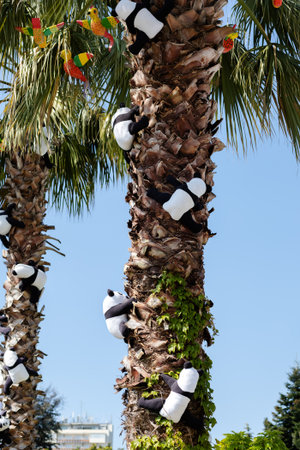Soft panda toys with parrots decoration on palm treesの写真素材