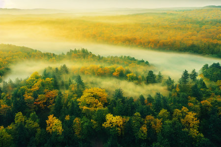 Beautiful forest valley with autumn trees and fog. View from a high point. AIの素材