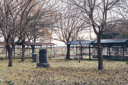 Bare winter trees in a historic outdoor exhibitの写真素材