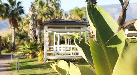 A white wooden gazebo stands amidst lush tropical plants, with a clear view of distant mountains under a bright sunny sky.の写真素材