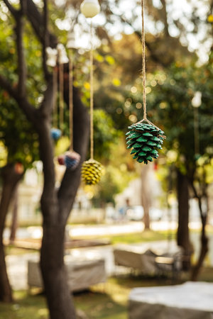 Colorful pine cones hanging in sunlit park.の写真素材