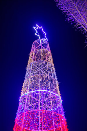 Illuminated Christmas tree with star topper at night.の写真素材