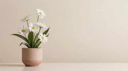 White daisy flowers in a modern two-toned pot on a light table with a minimalist beige background and copy space.の素材