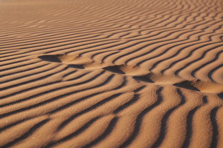 Sand ripples and shadows create an abstract texture in the desert.の素材