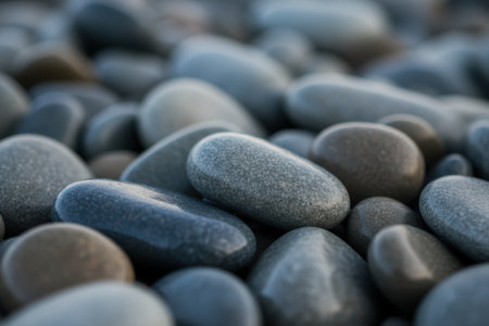 Smooth wet gray pebbles creating a natural textured background.の素材