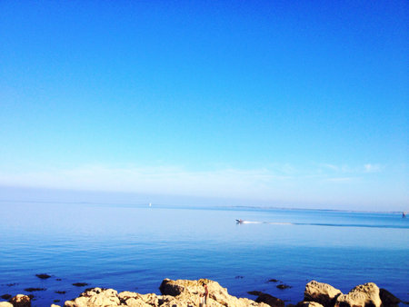 Whitehead coastline