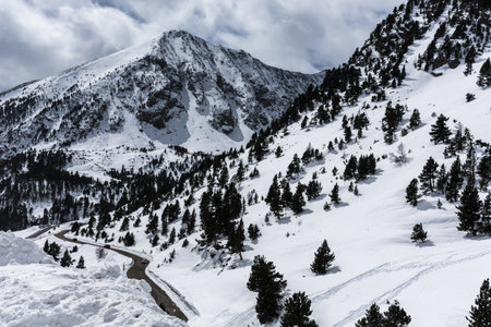 Two mountains snow covered with a road & some trees under cloudy sky during a snowfallの写真素材