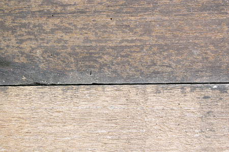 wood texture の写真素材