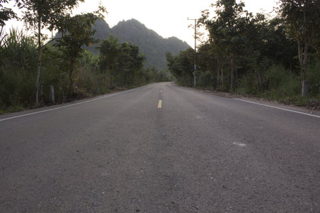 Way through the forestの写真素材