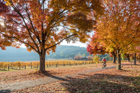 autumn