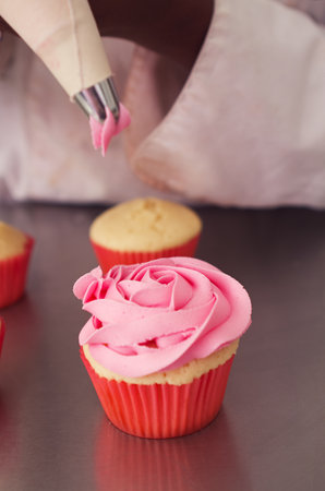 Cupcake with pink rose piping by pastry chefの写真素材