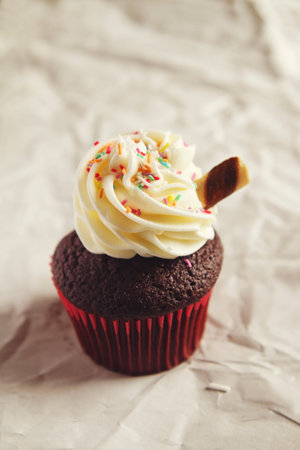 Chocolate sundae cupcake with colorful sprinkles and clear spaceの写真素材