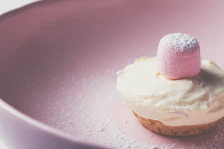 Single mini vanilla cheesecake with pink marshmellow on topの写真素材