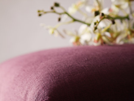 Burgundy colored close up of ottman with blurred orchids in background horizontalの写真素材