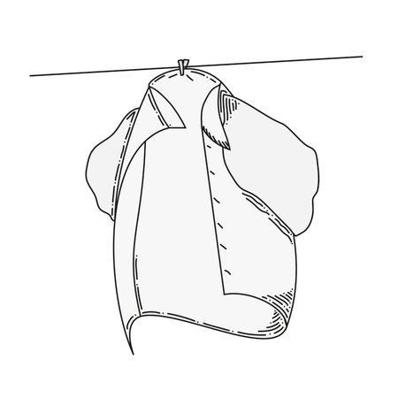 hanged cloth blown by the windのイラスト素材