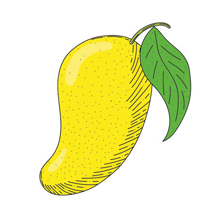 ripe mangoes and yellowのイラスト素材