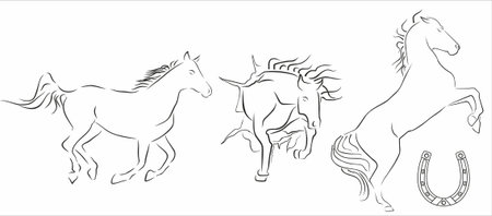 black outline of horsesのイラスト素材