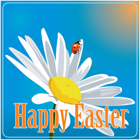 Easter colored vector background with camomile and ladybirdのイラスト素材