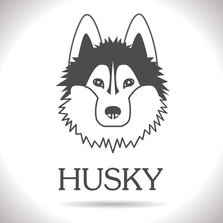 black vector Huskies のイラスト素材