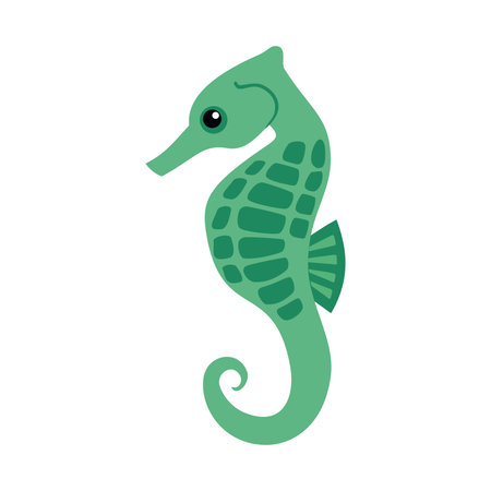 vector seahorse on a white backgroundのイラスト素材