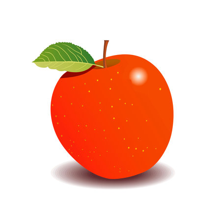 red apple on a white background. vector graphicsのイラスト素材