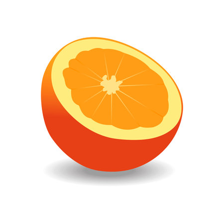 orange on a white background. vector graphicsのイラスト素材