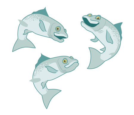 salmon. the fish print on white background. vectorのイラスト素材