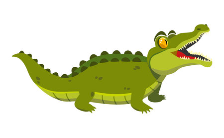 Funny green crocodile on a white background. vectorのイラスト素材