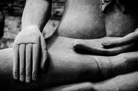 Buddha Hand and Buddha Statue at Ayutthaya city Thailand.の写真素材