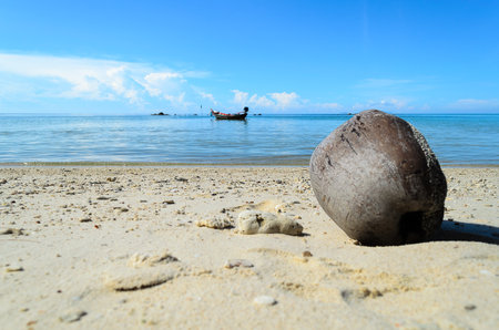 Landscape with coconut and sea under the blue sky in the morning.の写真素材