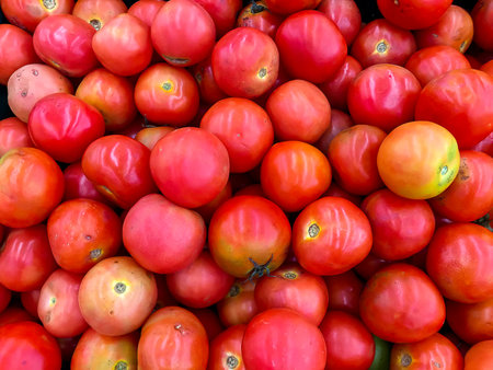 Tomatoes Background.の写真素材
