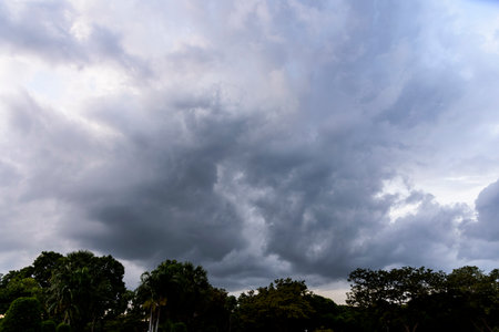 Cloudy sky group with condensation and forest in evening before sunset and raining.