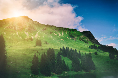 The mountain and forest with sunrise in the morning at switzerland.の写真素材