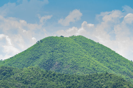 The landscape of nature with mountain and forest in the morning.