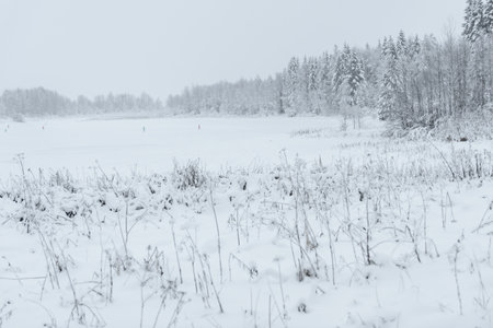 The ice lake and forest has covered with heavy snow and bad weather sky in winter season at Holiday Village Kuukiuru, Finland.の写真素材