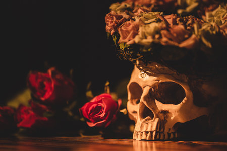 The art photo of anatomy model human skull with rose and flowers for artwork concept.の写真素材