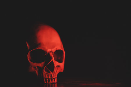 The anatomical of the human skull showed teeth and skeletons. Feel the isolated, dark, dead face,...