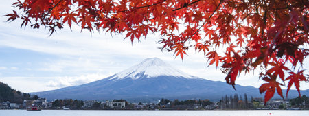 a colorful of maple red leaf in autumn with the fuji mountain and cloudy sky at the Kawaguchiko Lake in Japan, landscape photo of fuji mountain the landmark of japan.の写真素材
