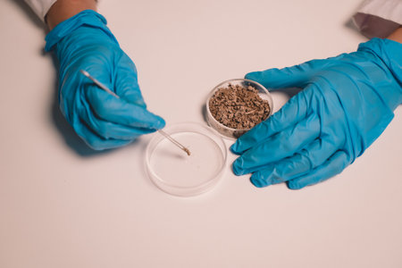 Scientists look at soil used to grow samples of an ecological skin care experiment in a nighttime...