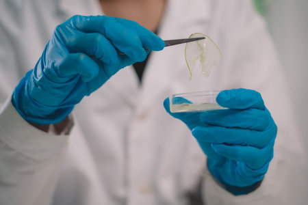 Asian researchers or scientists keeping and looking fresh cucumber samples in green lab for research product skin care cosmeticの写真素材