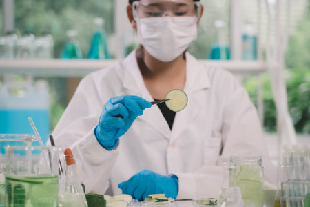 Asian researchers or scientists keeping and looking fresh cucumber samples in green lab for research product skin care cosmeticの写真素材