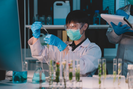 Two scientists dripping substances and taking note of ecological skin care beauty products in night lab development concept Research with plants and scientific extraction in glassware. Green alternative herbal medicine for physical health careの写真素材